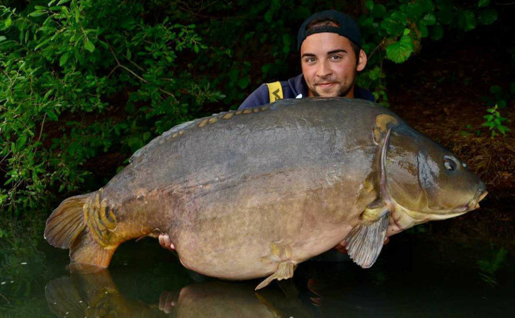 Enzym Boilies für Karpfen: fängige Karpfenköder hier bestellen!