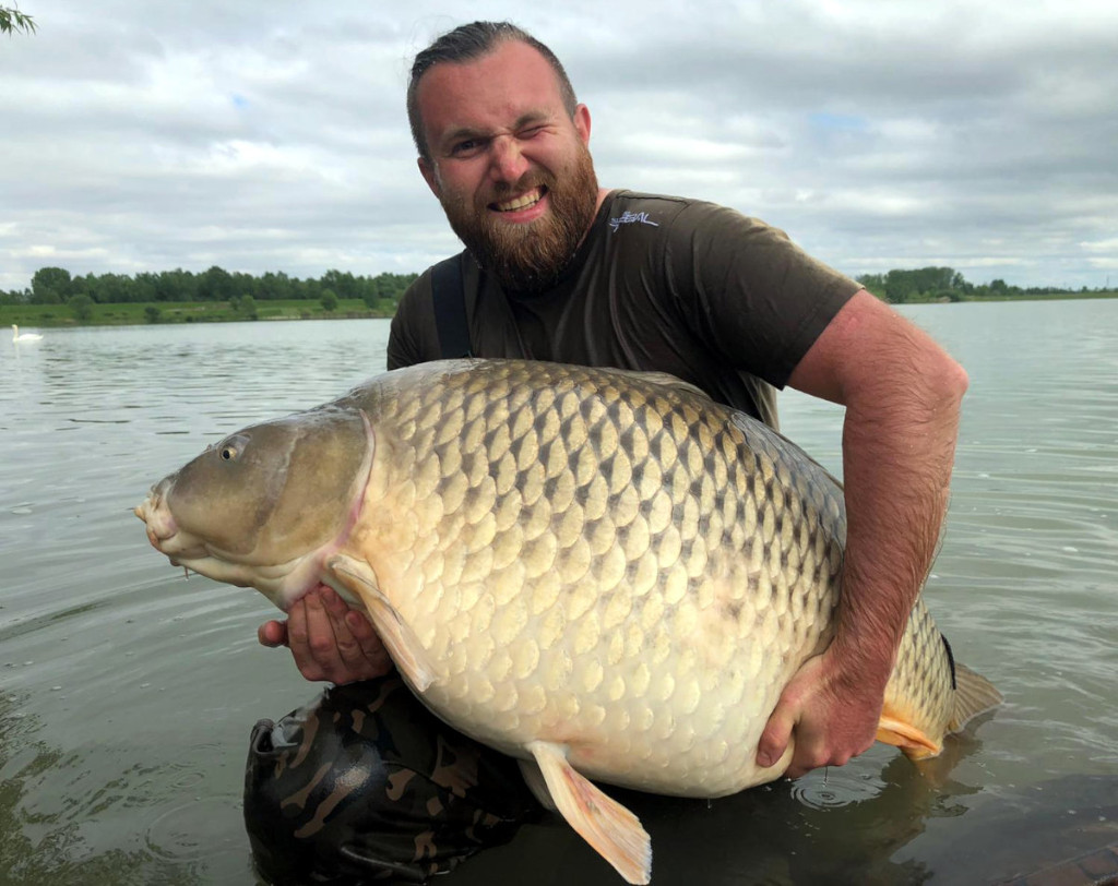 Enzym Boilies mit Asafoetida Flavour, enzymatisch aufgeschlossenen Proteinen und eine extremen Lockwirkung auf Karpfen.